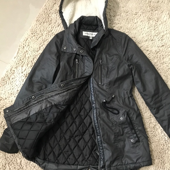 Light Fall/Winter Jacket - Picture 3 of 3